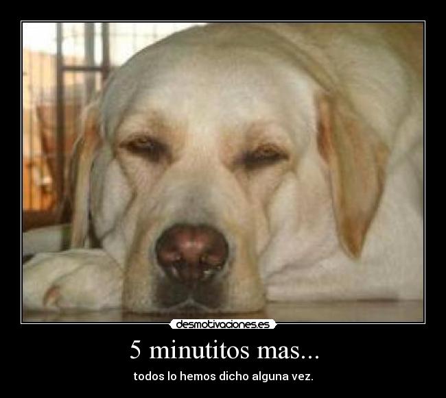5 minutitos mas... - todos lo hemos dicho alguna vez.