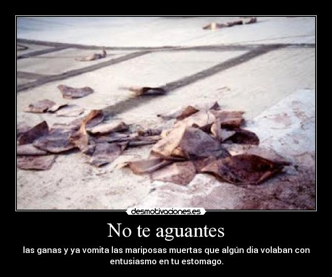 No te aguantes - 