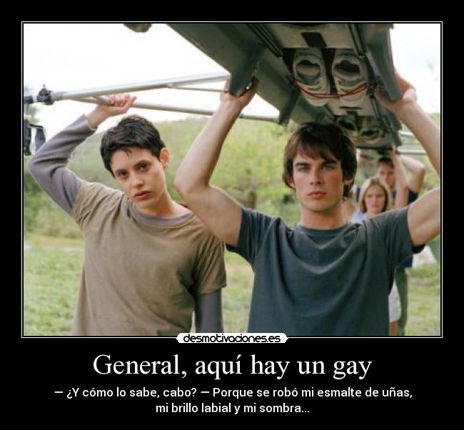 General, aquí hay un gay -