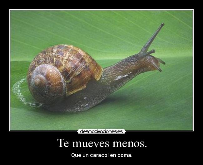 Te mueves menos. -