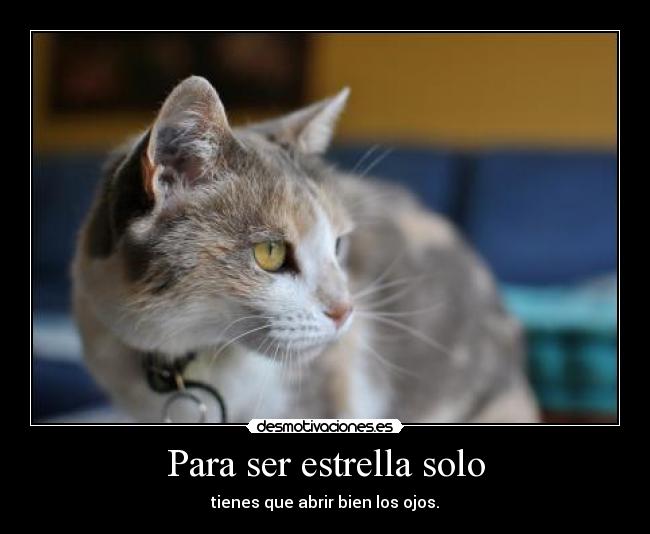 Para ser estrella solo - tienes que abrir bien los ojos.