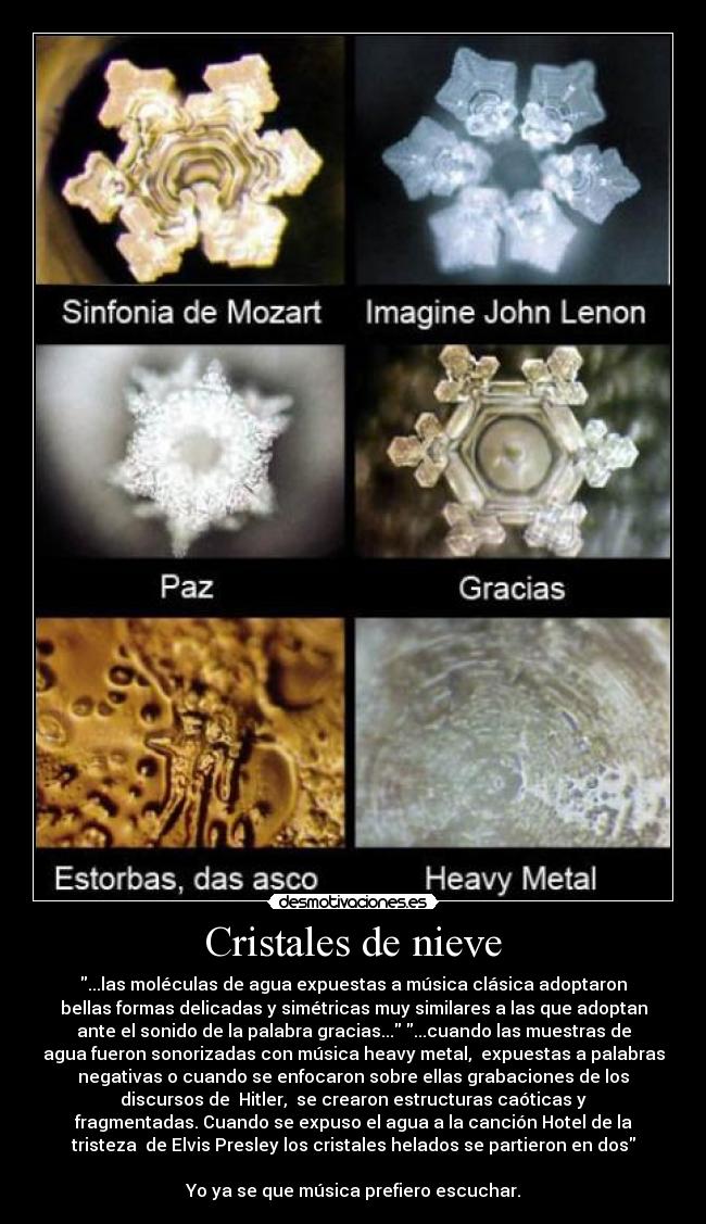 Cristales de nieve - ...las moléculas de agua expuestas a música clásica adoptaron
bellas formas delicadas y simétricas muy similares a las que adoptan
ante el sonido de la palabra gracias... ...cuando las muestras de
agua fueron sonorizadas con música heavy metal,  expuestas a palabras
negativas o cuando se enfocaron sobre ellas grabaciones de los
discursos de  Hitler,  se crearon estructuras caóticas y
fragmentadas. Cuando se expuso el agua a la canción Hotel de la
tristeza  de Elvis Presley los cristales helados se partieron en dos

Yo ya se que música prefiero escuchar.