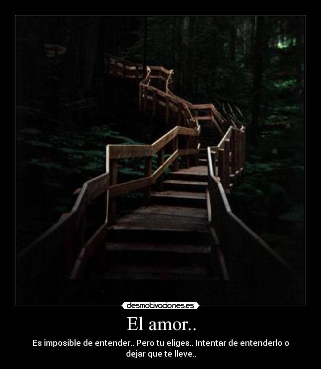 El amor.. - Es imposible de entender.. Pero tu eliges.. Intentar de entenderlo o dejar que te lleve..