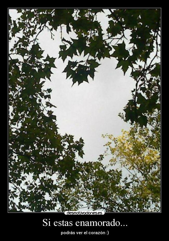 Si estas enamorado... -