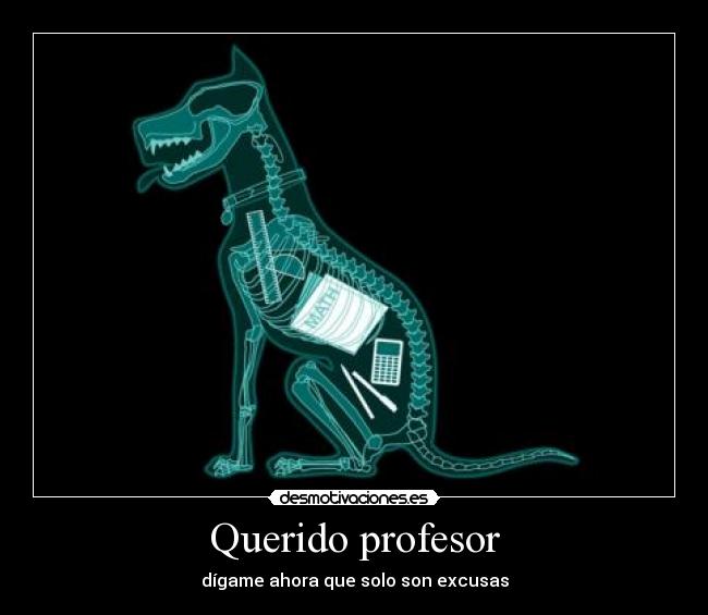Querido profesor - 