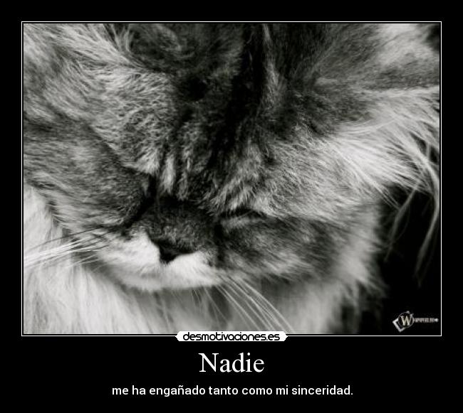 Nadie - me ha engañado tanto como mi sinceridad.