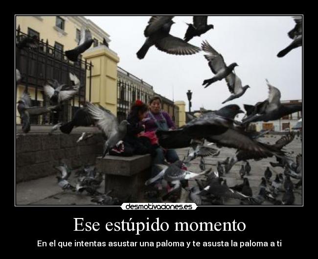 Ese estúpido momento -