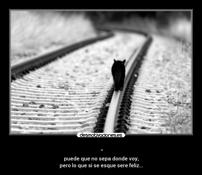 . - puede que no sepa donde voy,
pero lo que si se esque sere feliz...