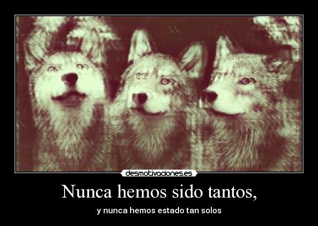 Nunca hemos sido tantos, - y nunca hemos estado tan solos