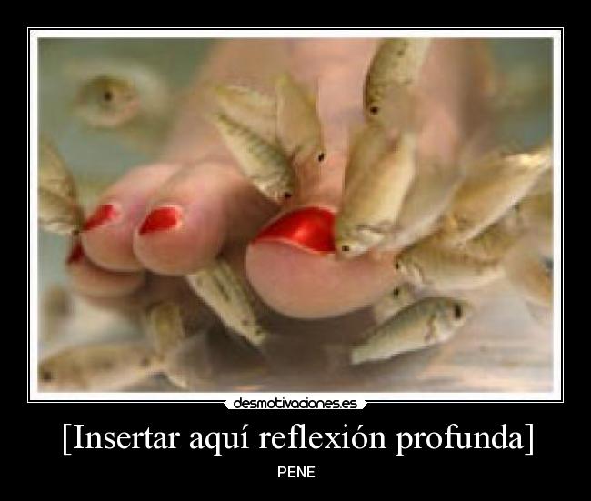 [Insertar aquí reflexión profunda] - PENE