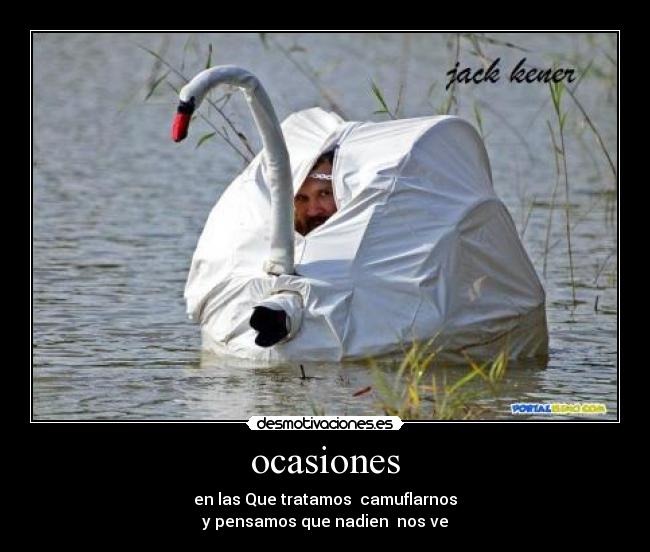 ocasiones - en las Que tratamos  camuflarnos
y pensamos que nadien  nos ve
