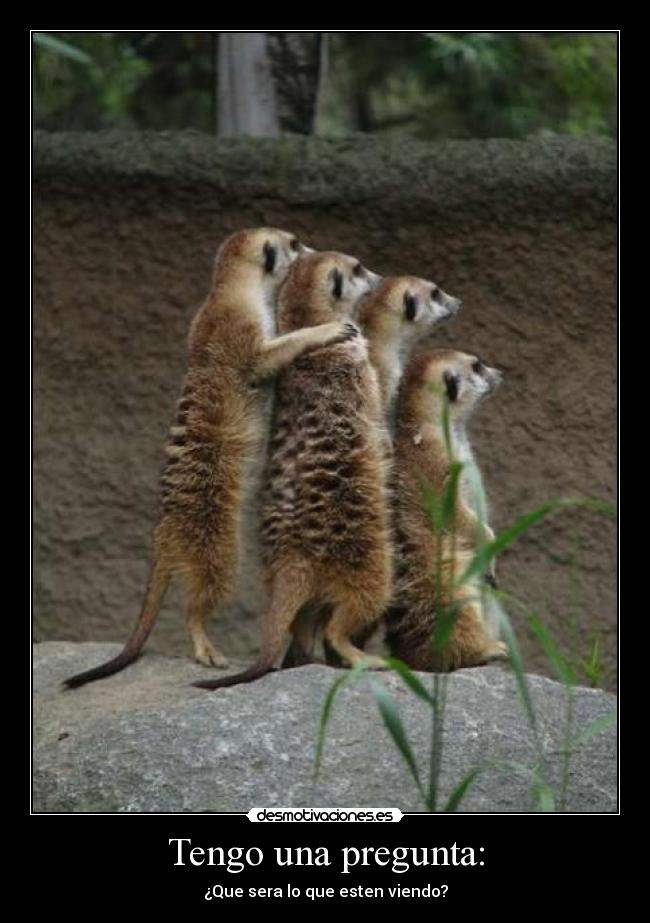 Tengo una pregunta: -