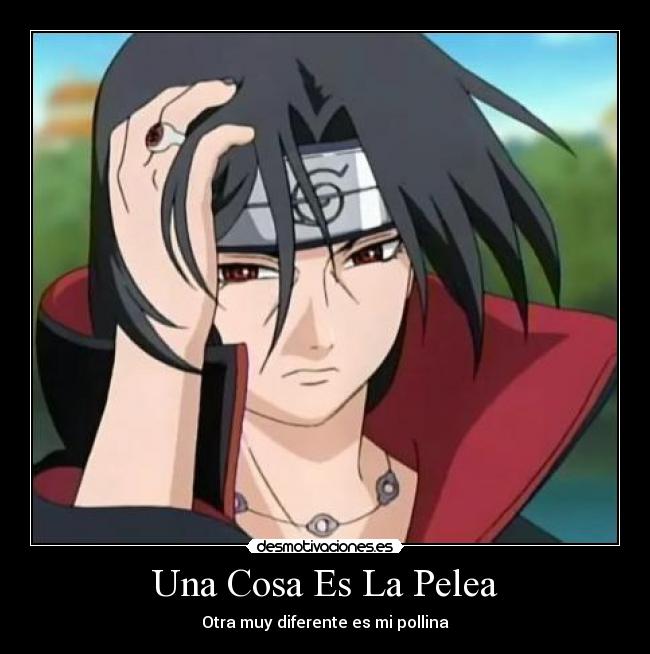 Una Cosa Es La Pelea - Otra muy diferente es mi pollina