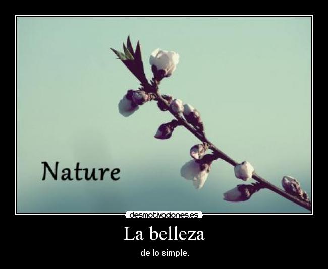 La belleza - 