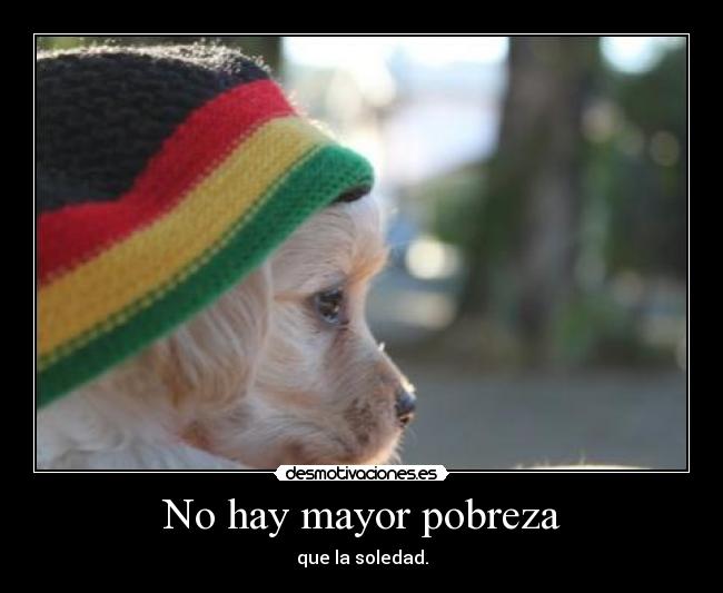 carteles pobreza soledad perro rasta desmotivaciones