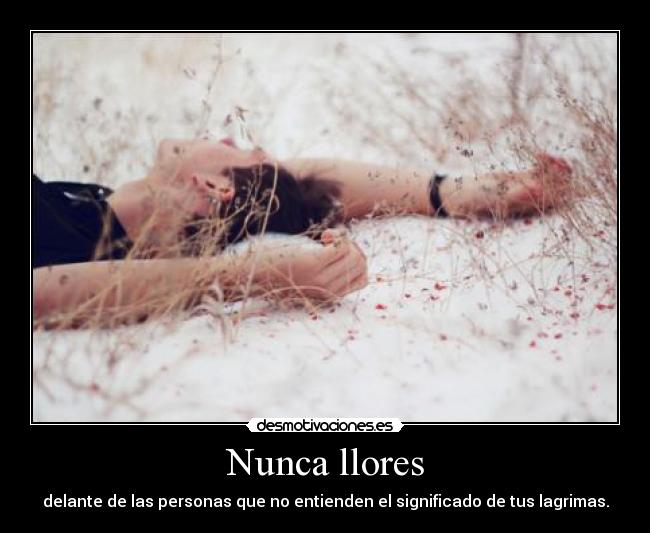 Nunca llores -