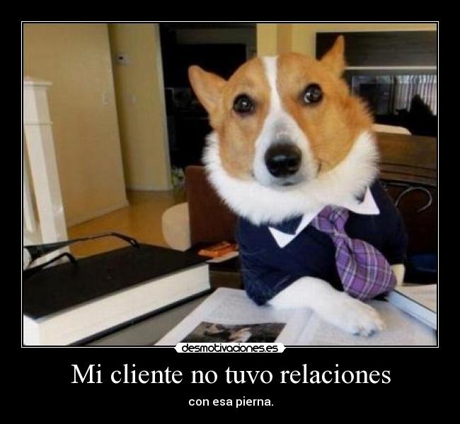 Mi cliente no tuvo relaciones - 