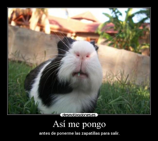 Así me pongo -