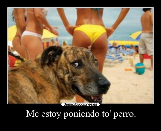 Me estoy poniendo to perro. - 