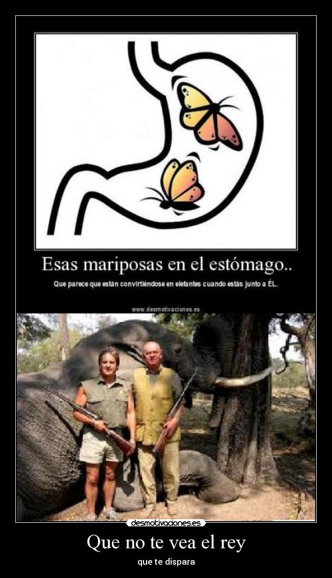 Que no te vea el rey -