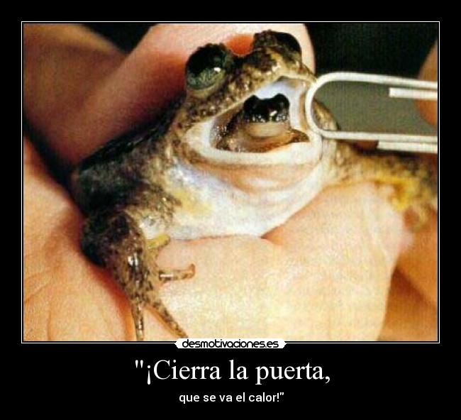 ¡Cierra la puerta, - 