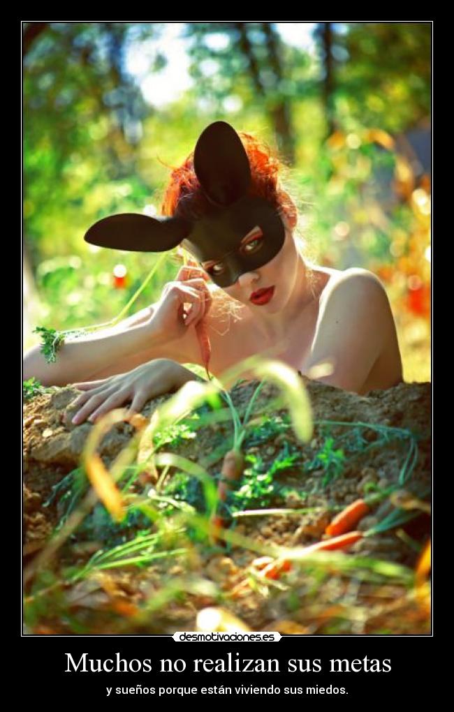 Muchos no realizan sus metas -