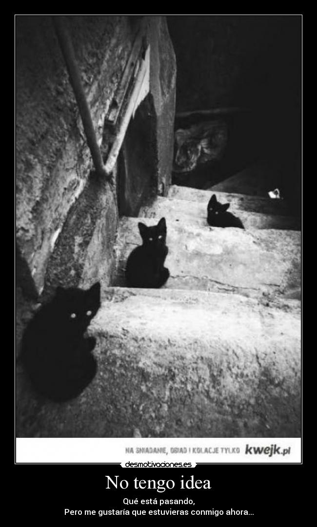 No tengo idea - Qué está pasando,
Pero me gustaría que estuvieras conmigo ahora...