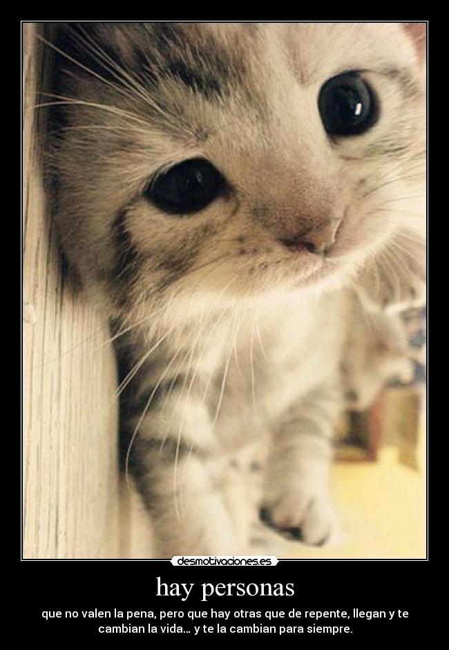 hay personas - que no valen la pena, pero que hay otras que de repente, llegan y te
cambian la vida… y te la cambian para siempre.