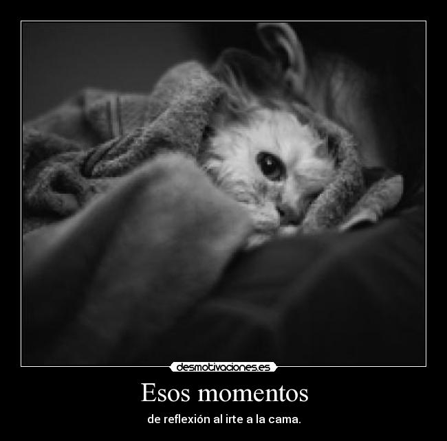 Esos momentos -