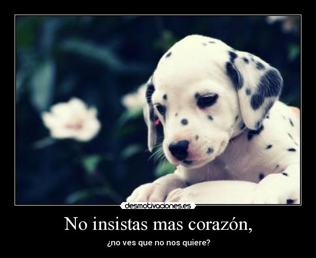 No insistas mas corazón, - ¿no ves que no nos quiere?