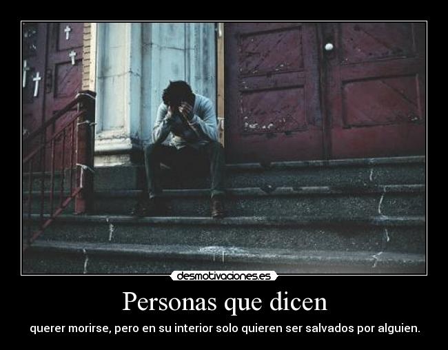 carteles mrsloca meow miau grr orni desmotivaciones