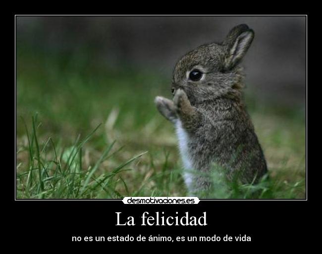 La felicidad - no es un estado de ánimo, es un modo de vida