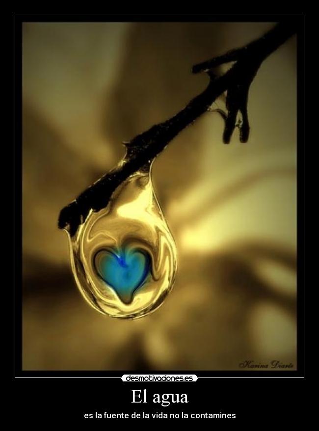 El agua - es la fuente de la vida no la contamines