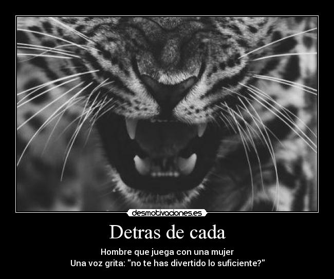 carteles altair666 tiger desmotivaciones