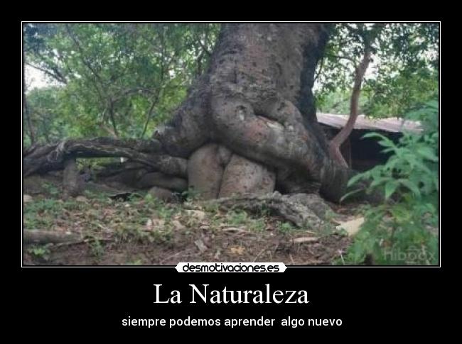La Naturaleza -