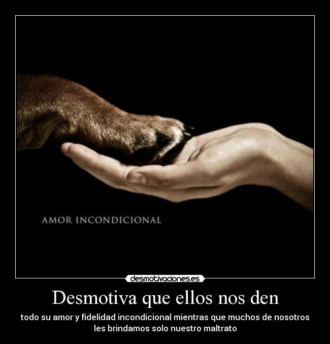 Desmotiva que ellos nos den - todo su amor y fidelidad incondicional mientras que muchos de nosotros
les brindamos solo nuestro maltrato