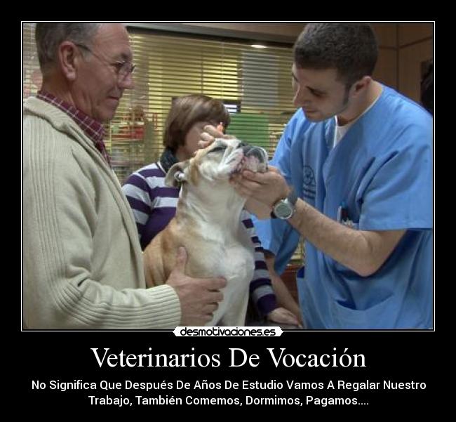 Veterinarios De Vocación - No Significa Que Después De Años De Estudio Vamos A Regalar Nuestro
Trabajo, También Comemos, Dormimos, Pagamos....