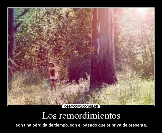 Los remordimientos - 
