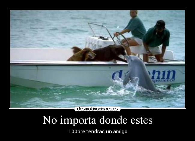 No importa donde estes - 