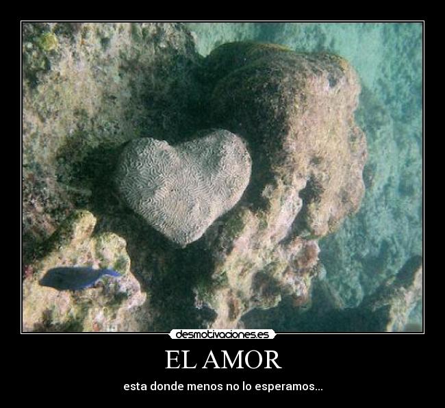 EL AMOR - esta donde menos no lo esperamos...