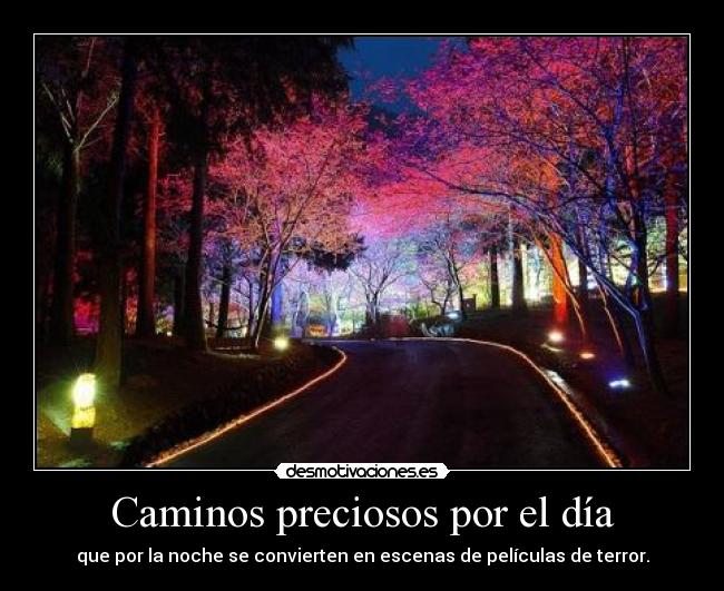 carteles pawsup quiere laura strangers like you desmotivaciones