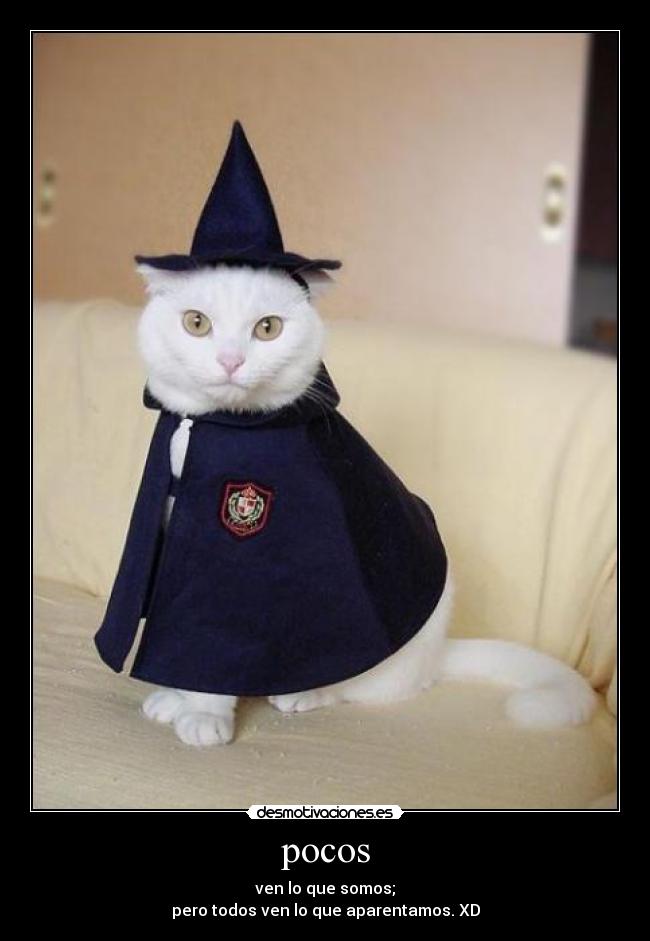 pocos - ven lo que somos;
pero todos ven lo que aparentamos. XD