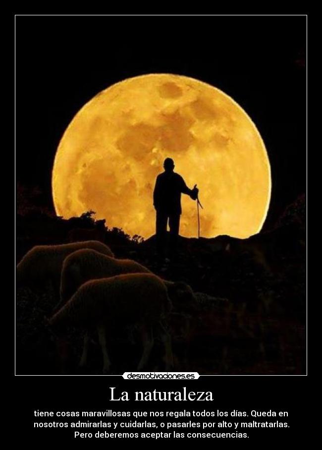 La naturaleza - tiene cosas maravillosas que nos regala todos los días. Queda en
nosotros admirarlas y cuidarlas, o pasarles por alto y maltratarlas.
Pero deberemos aceptar las consecuencias.