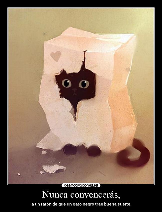Nunca convencerás, - a un ratón de que un gato negro trae buena suerte.
