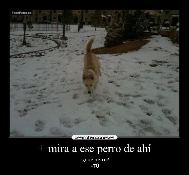 carteles hola desmotivaciones