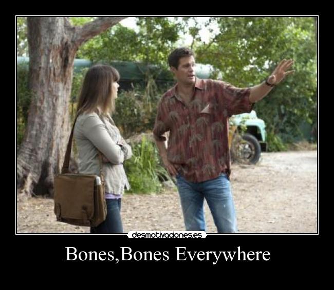 Bones,Bones Everywhere -