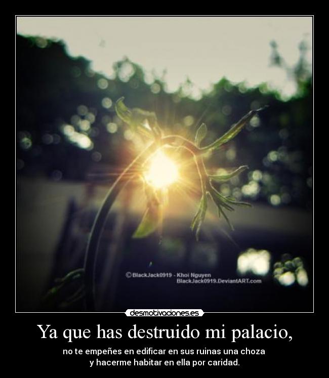 carteles desamor desmotivaciones