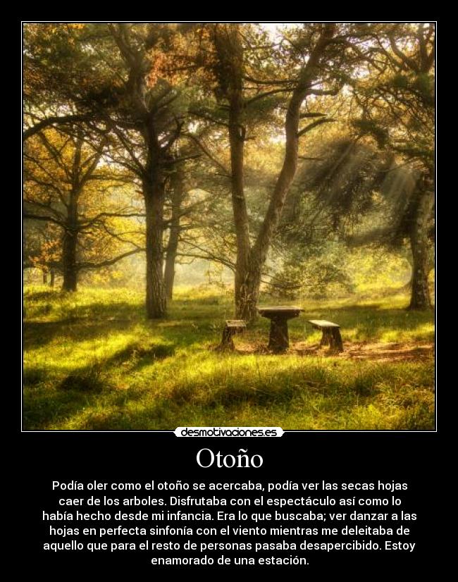 Otoño - Podía oler como el otoño se acercaba, podía ver las secas hojas
caer de los arboles. Disfrutaba con el espectáculo así como lo
había hecho desde mi infancia. Era lo que buscaba; ver danzar a las
hojas en perfecta sinfonía con el viento mientras me deleitaba de
aquello que para el resto de personas pasaba desapercibido. Estoy
enamorado de una estación.