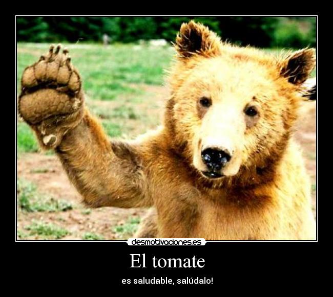 El tomate -