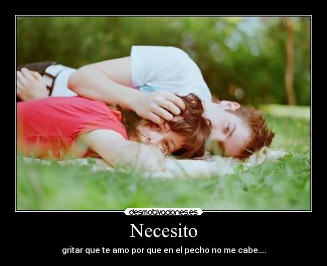 Necesito - gritar que te amo por que en el pecho no me cabe....